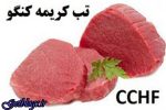 تب کنگو در مازندران